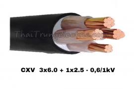 CXV - 3x6.0 + 1x2.5 - 0,6/1kV