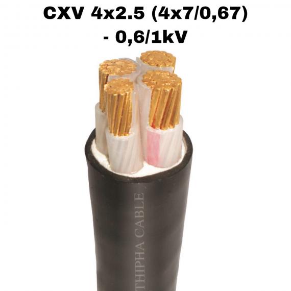 CXV 4x2.5 (4x7/0.67) - 0.6/1kV