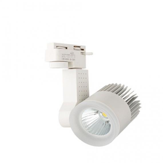 ĐÈN RỌI RAY 30W (VỎ TRẮNG - VỎ ĐEN)